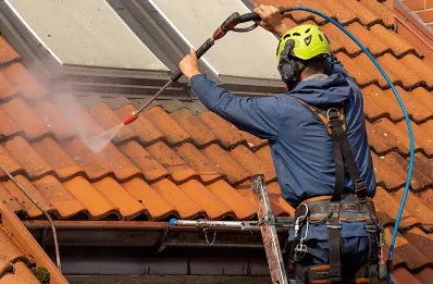 Démoussage et hydrofuge de toiture à Vielle-Soubiran
